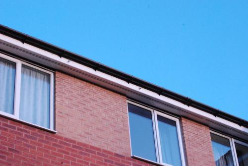 Exterior gutter and fascia cleaning